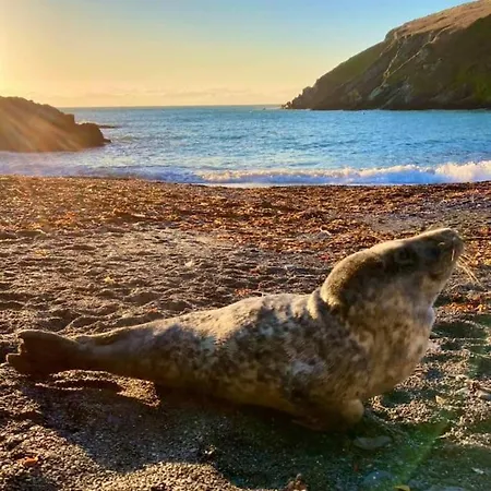 公寓 Galley View Ardfield *