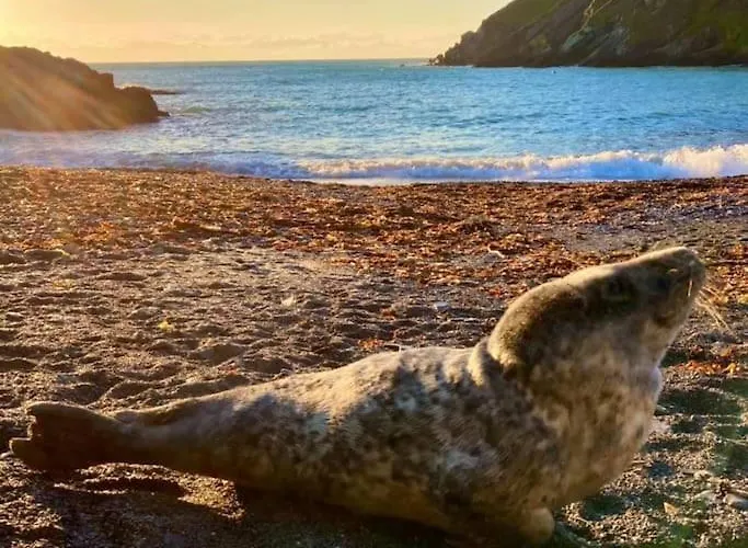 Apartmán Galley View Ardfield *